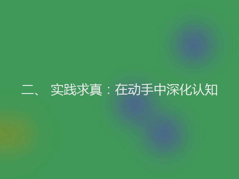 二、 实践求真：在动手中深化认知