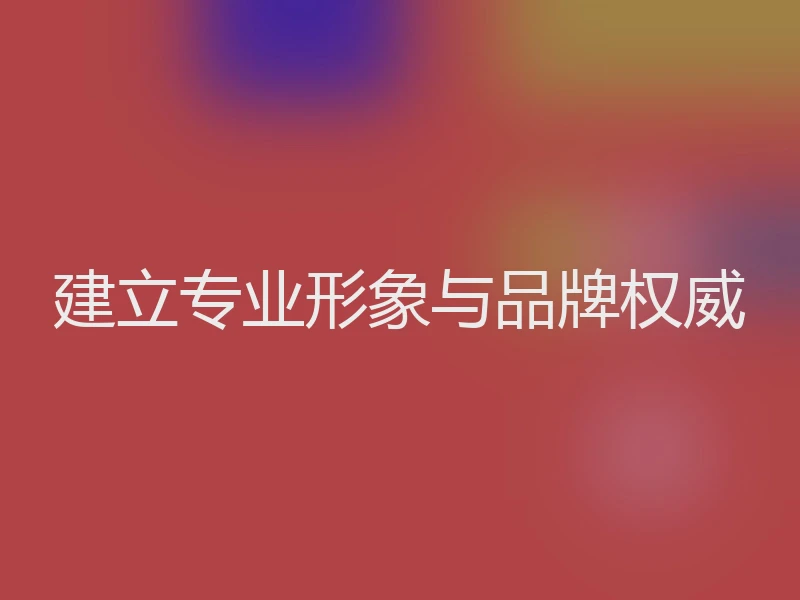 建立专业形象与品牌权威