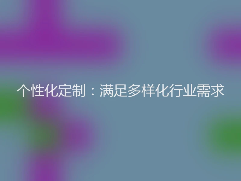 个性化定制：满足多样化行业需求
