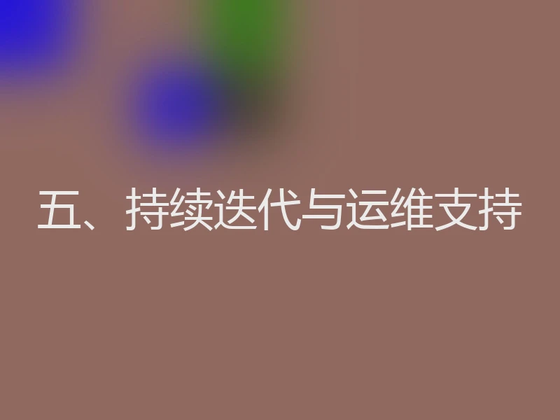 五、持续迭代与运维支持