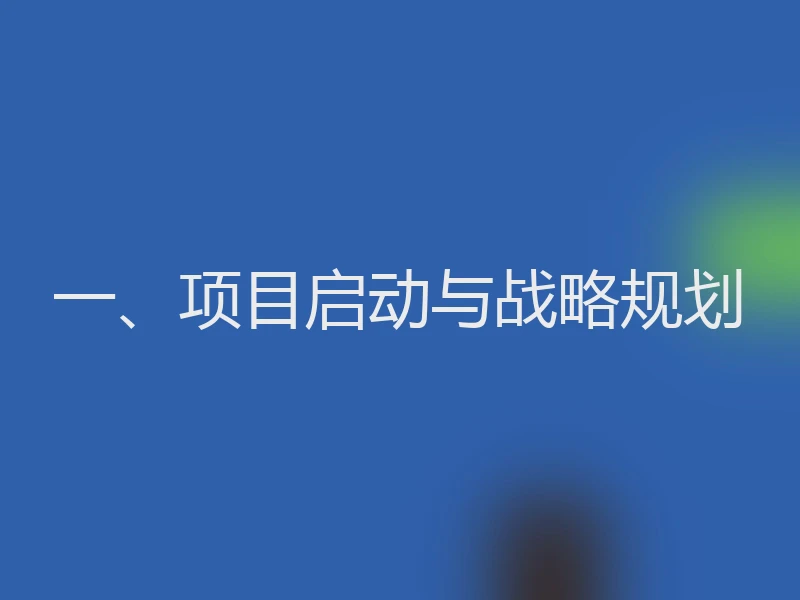 一、项目启动与战略规划
