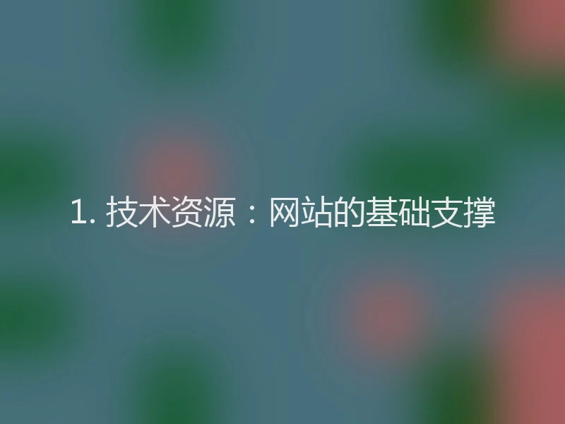 1. 技术资源:网站的基础支撑