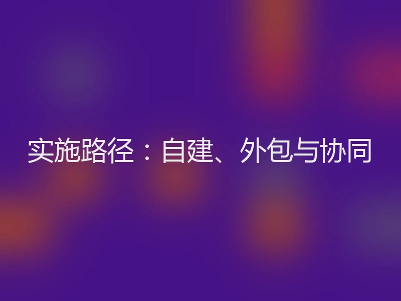 实施路径：自建、外包与协同
