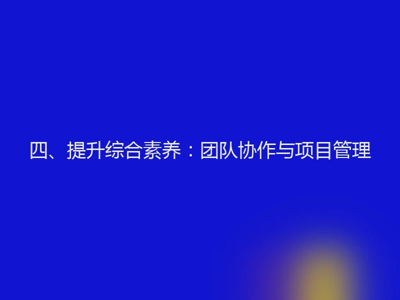 四、提升综合素养：团队协作与项目管理