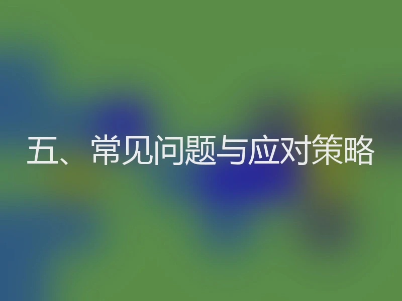五、常见问题与应对策略