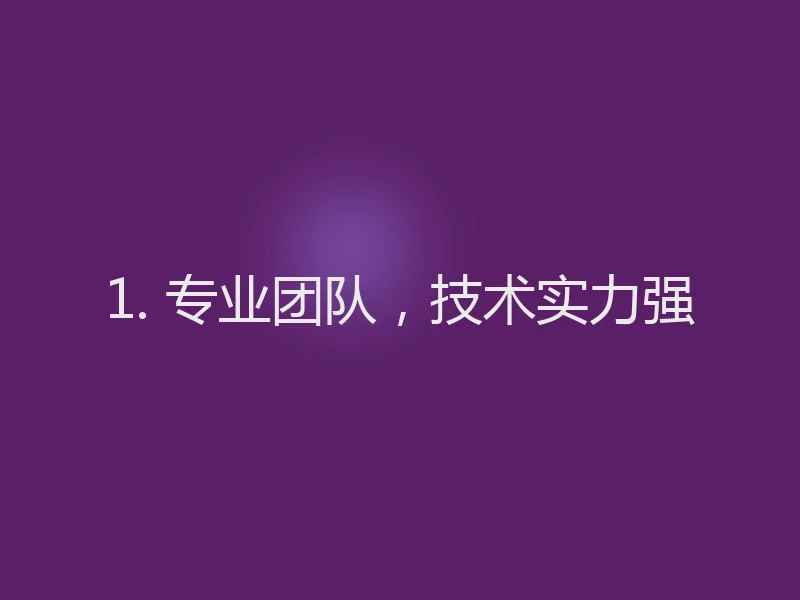 1. 专业团队，技术实力强