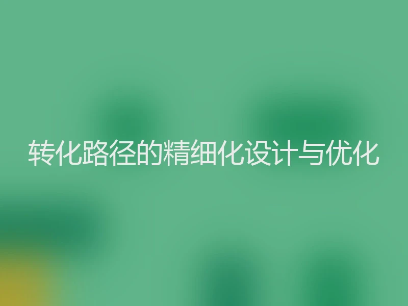 转化路径的精细化设计与优化