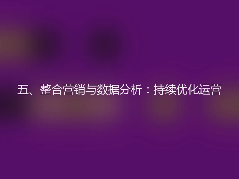五、整合营销与数据分析：持续优化运营