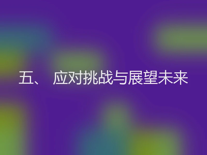 五、 应对挑战与展望未来