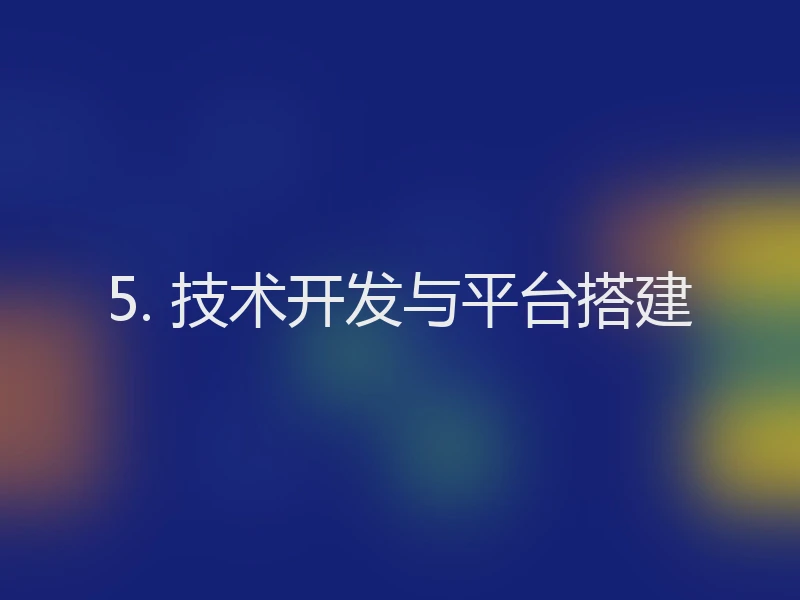 5. 技术开发与平台搭建