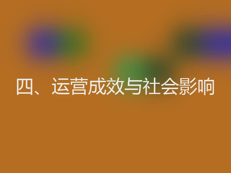 四、运营成效与社会影响