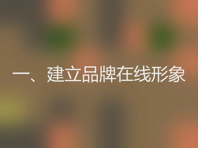 一、建立品牌在线形象