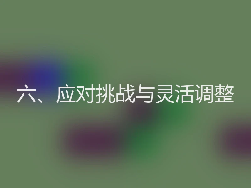 六、应对挑战与灵活调整
