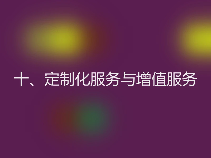十、定制化服务与增值服务