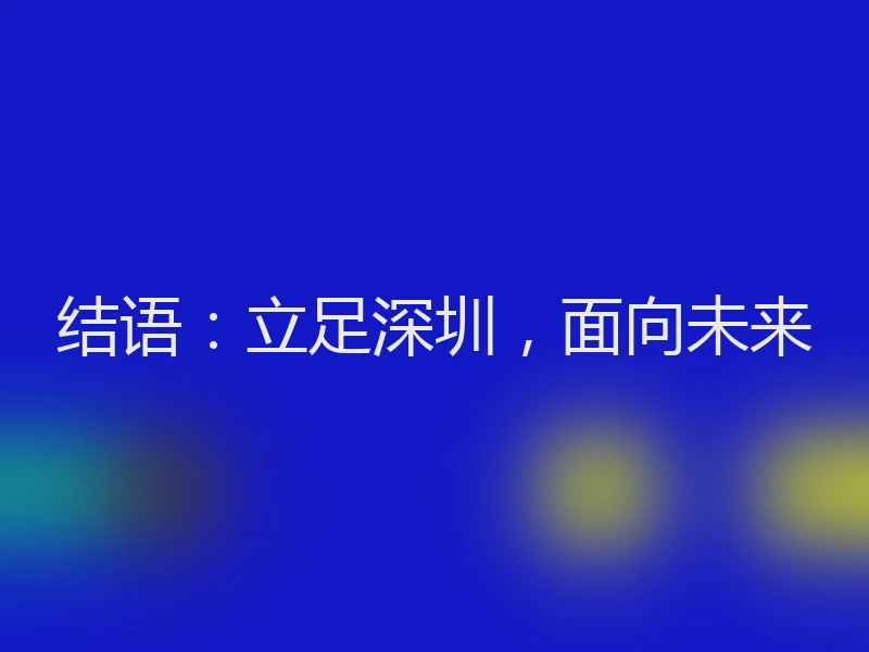 结语：立足深圳，面向未来