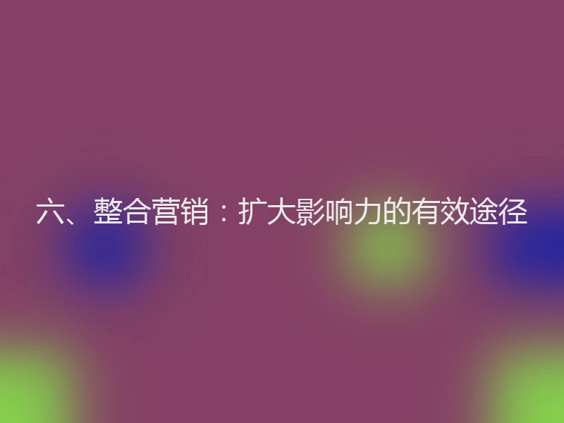 六、整合营销：扩大影响力的有效途径