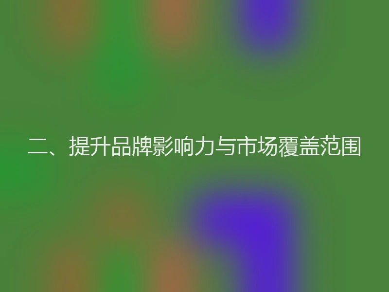 二、提升品牌影响力与市场覆盖范围