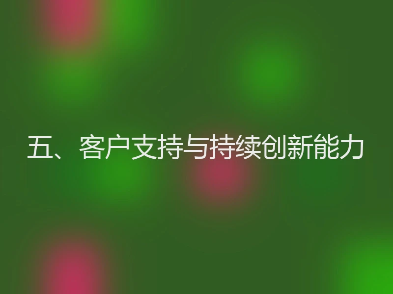 五、客户支持与持续创新能力