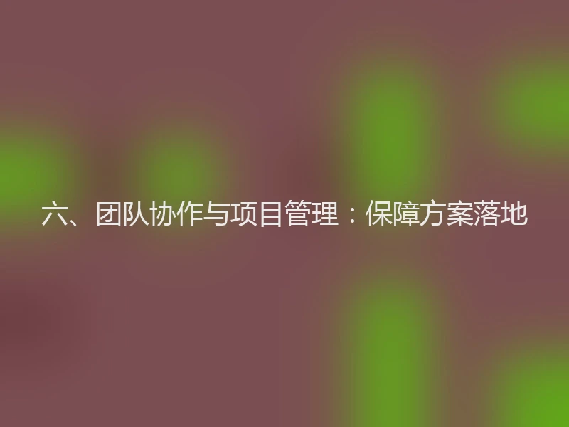 六、团队协作与项目管理：保障方案落地