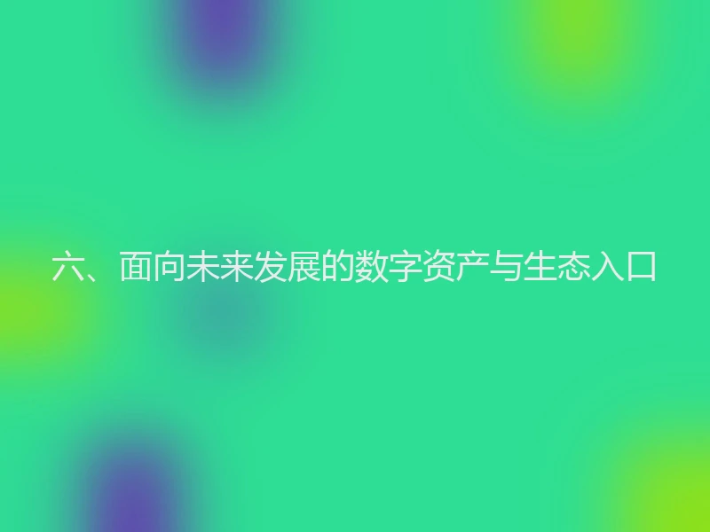 六、面向未来发展的数字资产与生态入口