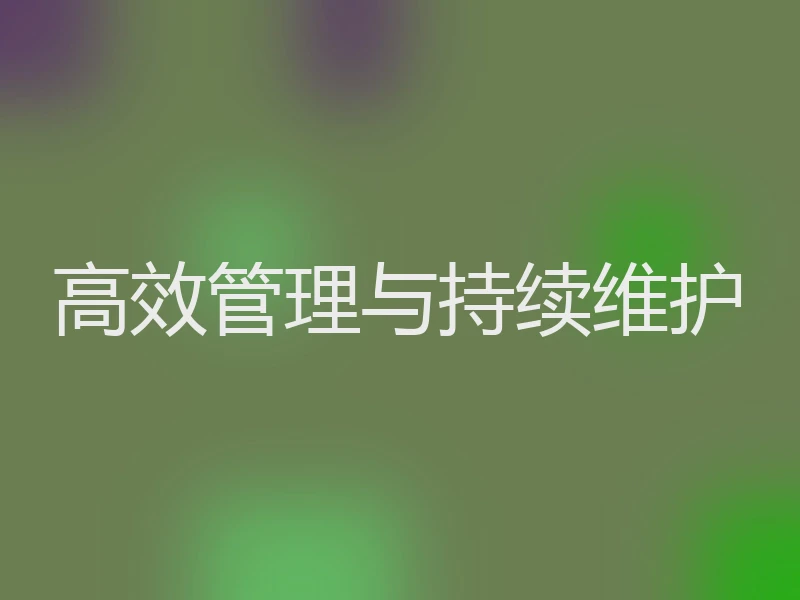 高效管理与持续维护