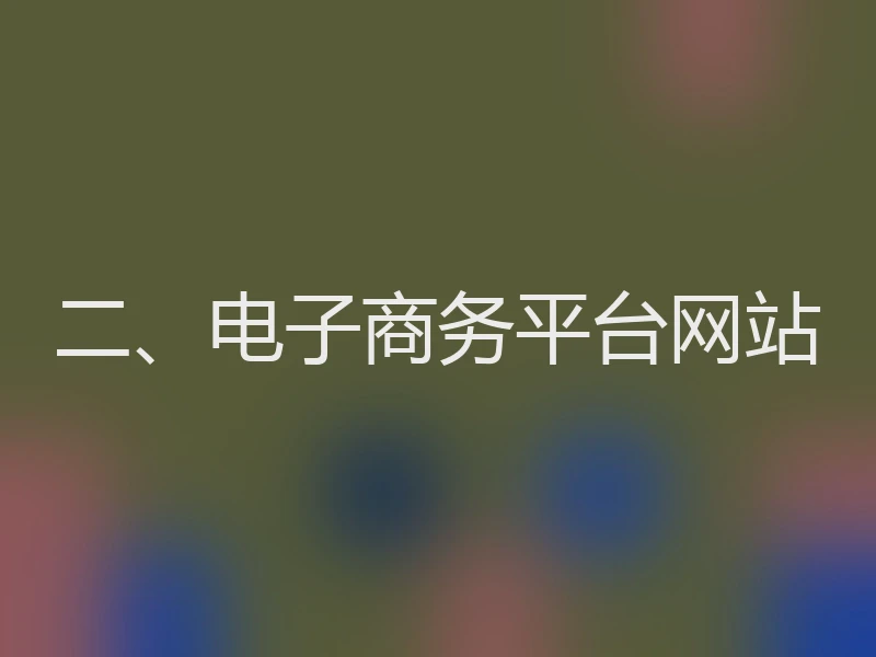 二、电子商务平台网站