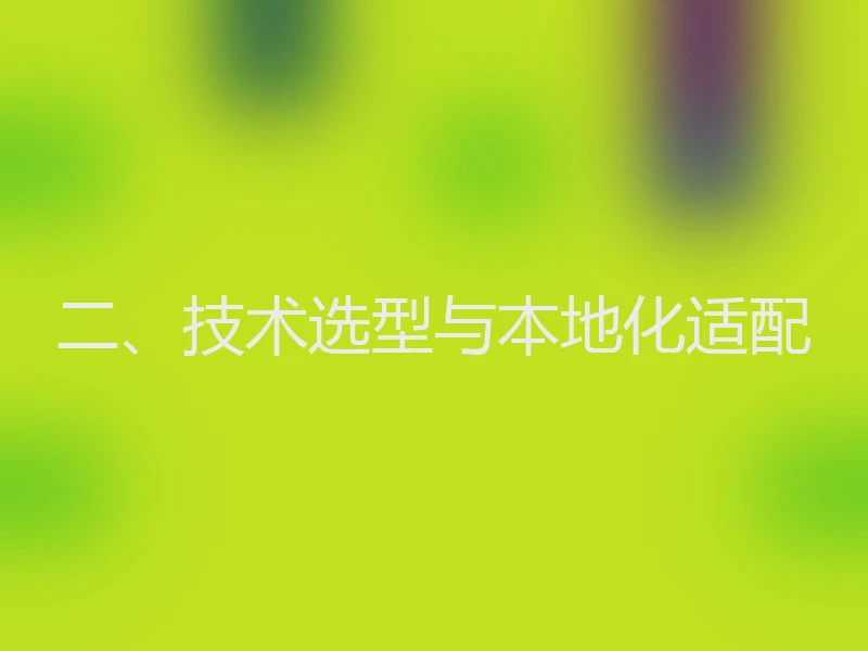 二、技术选型与本地化适配