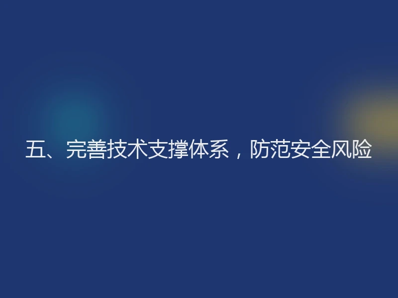 五、完善技术支撑体系,防范安全风险