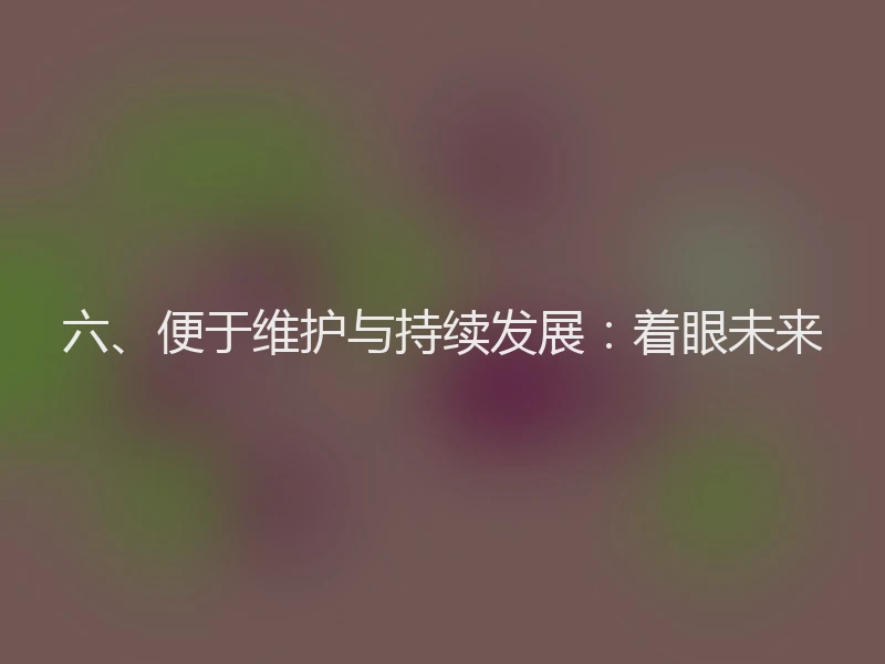 六、便于维护与持续发展:着眼未来