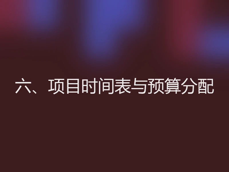 六、项目时间表与预算分配