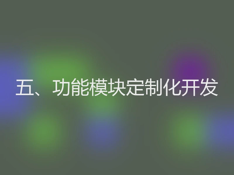 五、功能模块定制化开发