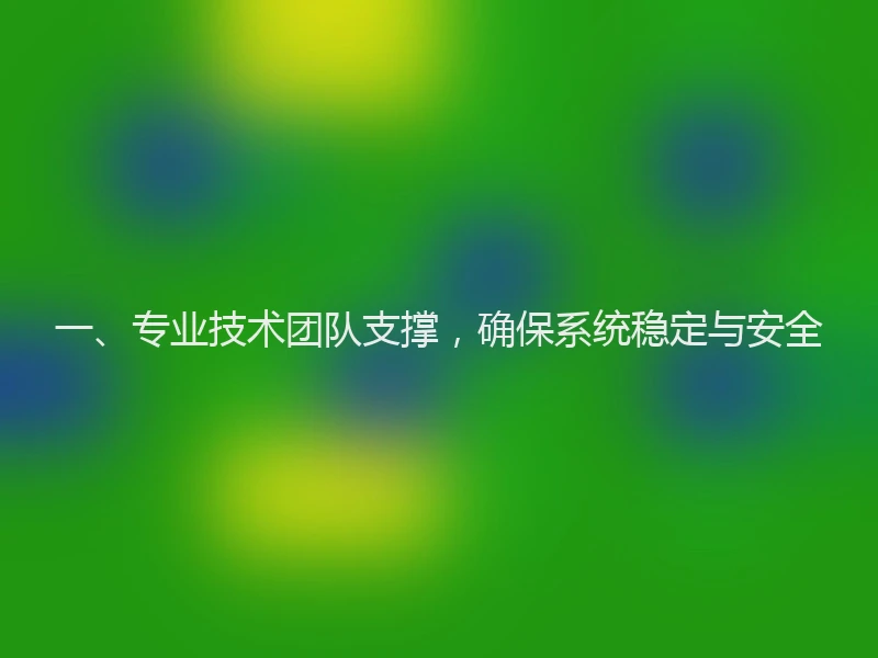 一、专业技术团队支撑，确保系统稳定与安全