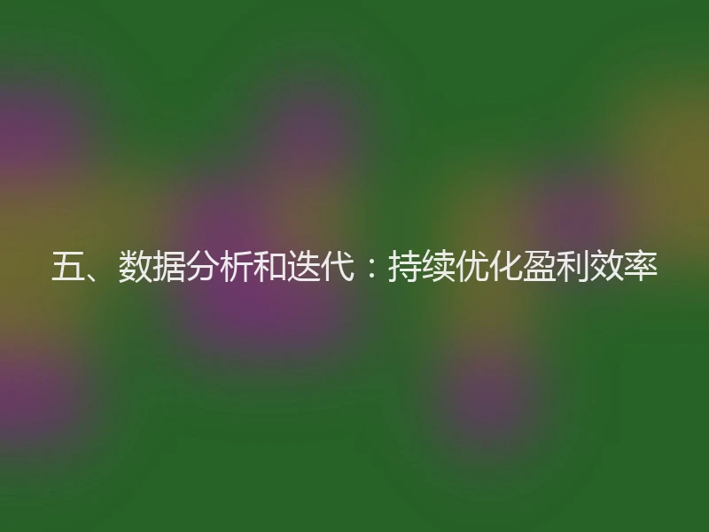 五、数据分析和迭代:持续优化盈利效率