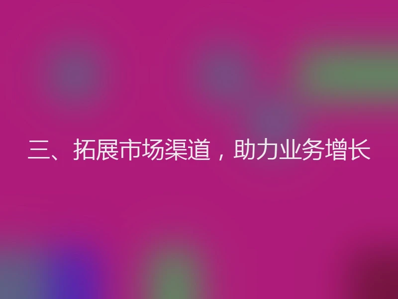 三、拓展市场渠道，助力业务增长