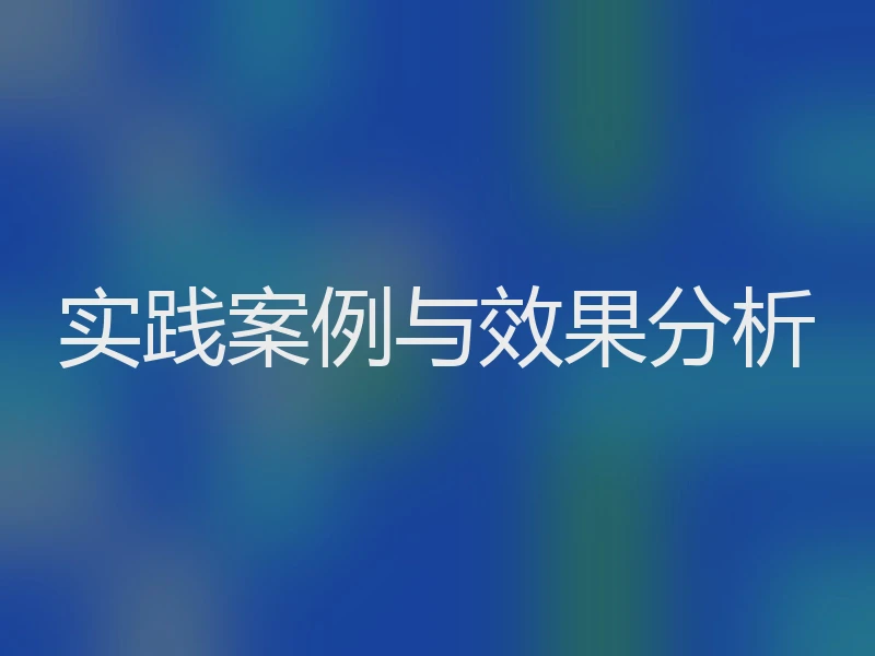 实践案例与效果分析