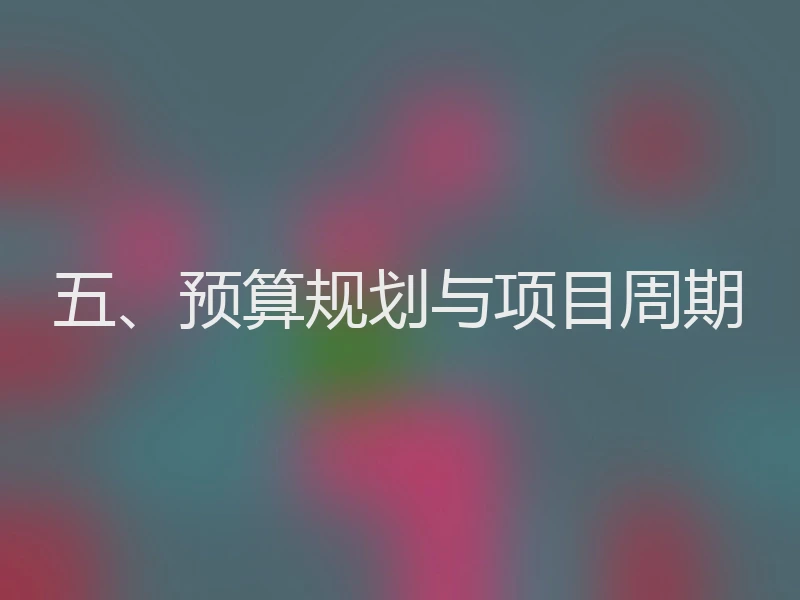 五、预算规划与项目周期