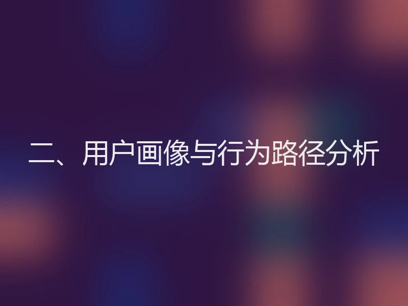 二、用户画像与行为路径分析