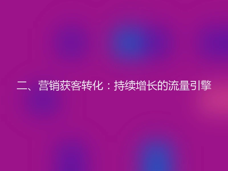 二、营销获客转化：持续增长的流量引擎