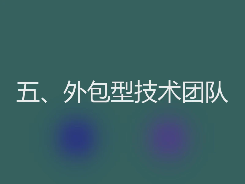 五、外包型技术团队