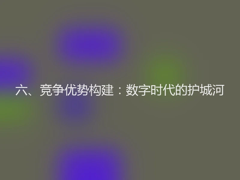 六、竞争优势构建：数字时代的护城河