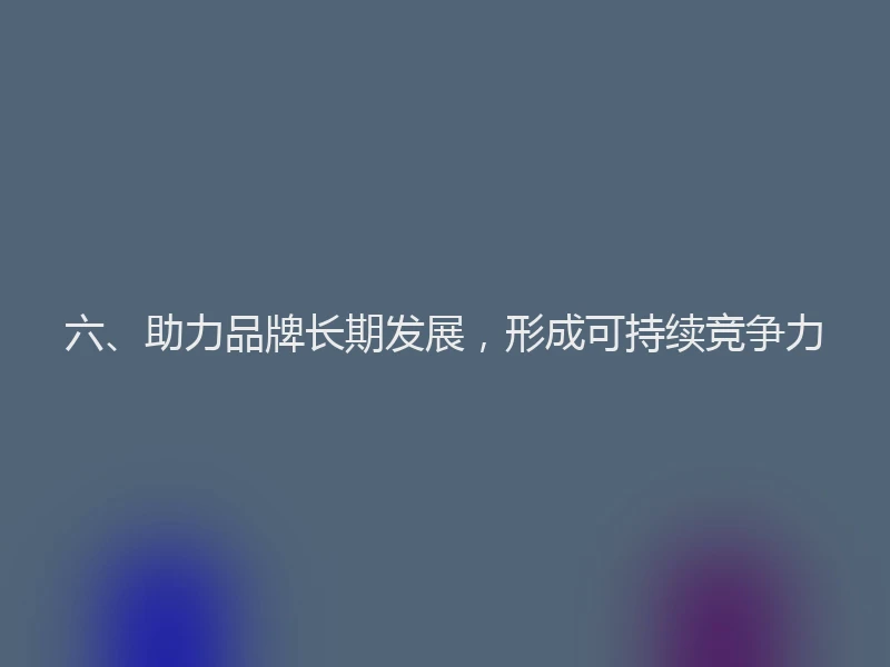 六、助力品牌长期发展，形成可持续竞争力