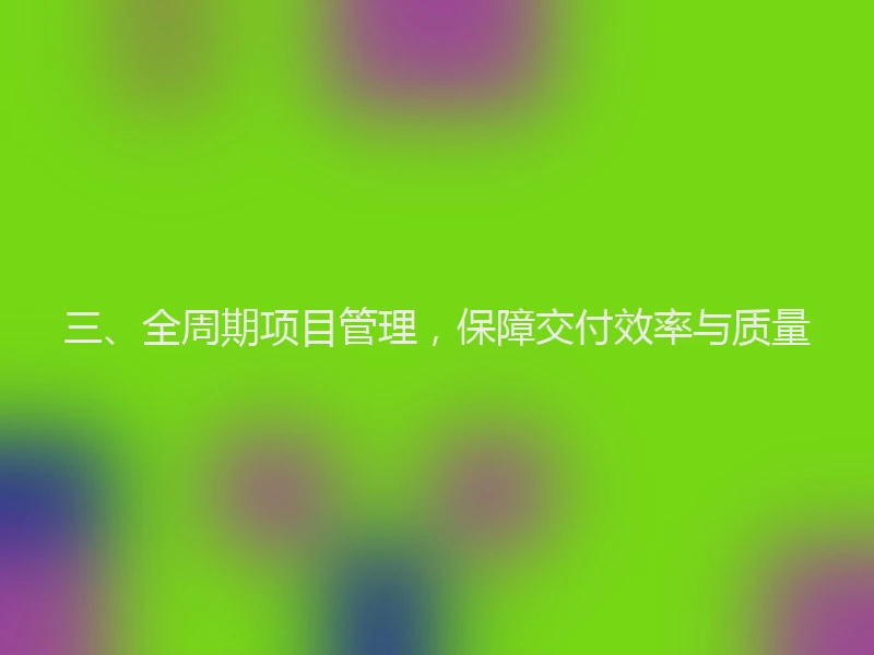 三、全周期项目管理，保障交付效率与质量