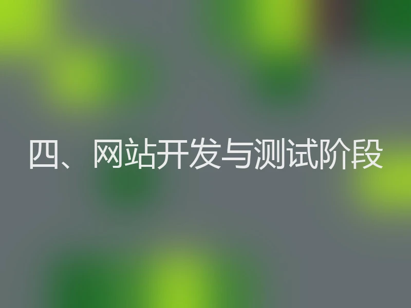 四、网站开发与测试阶段
