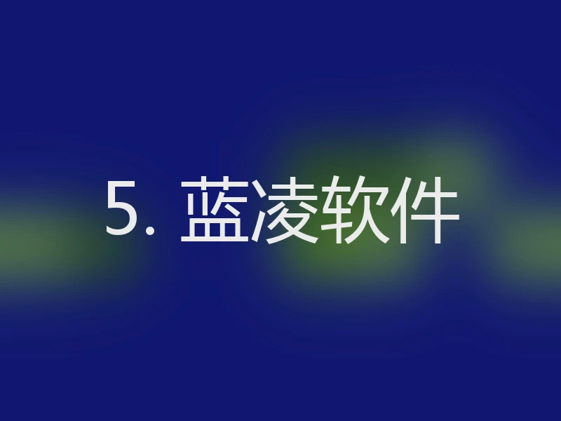 5. 蓝凌软件
