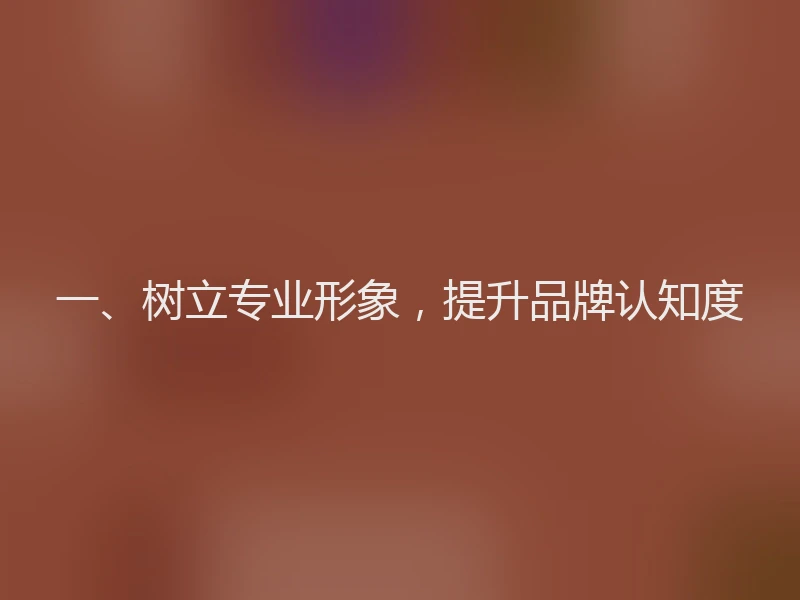 一、树立专业形象，提升品牌认知度