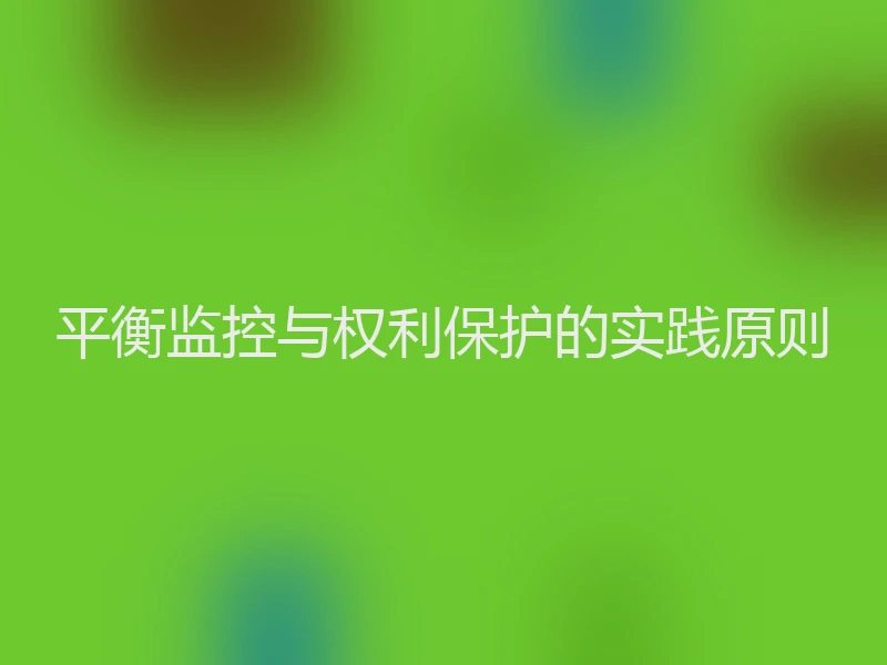 平衡监控与权利保护的实践原则