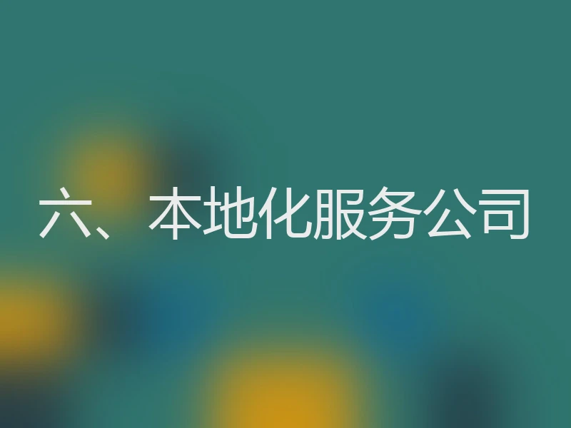 六、本地化服务公司