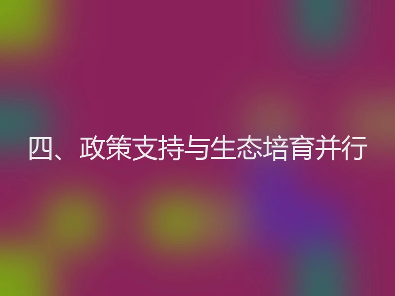 四、政策支持与生态培育并行