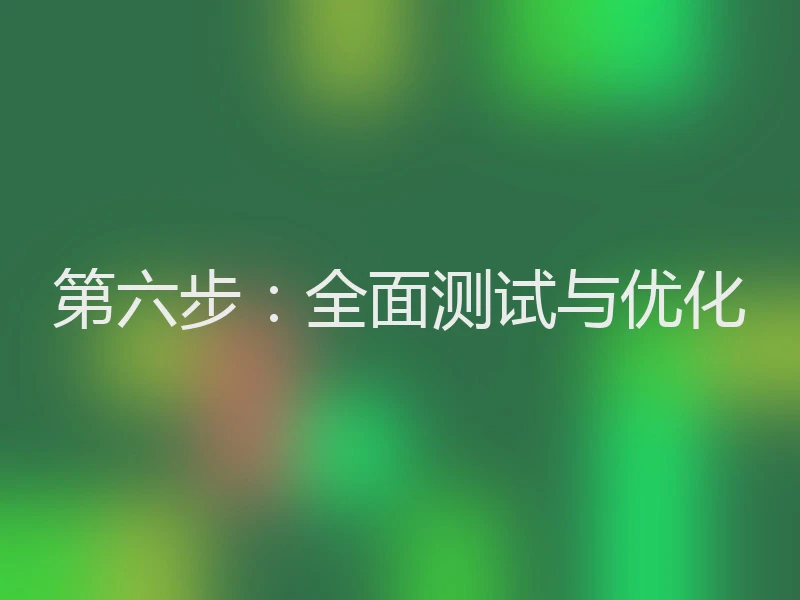 第六步：全面测试与优化