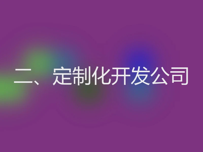 二、定制化开发公司